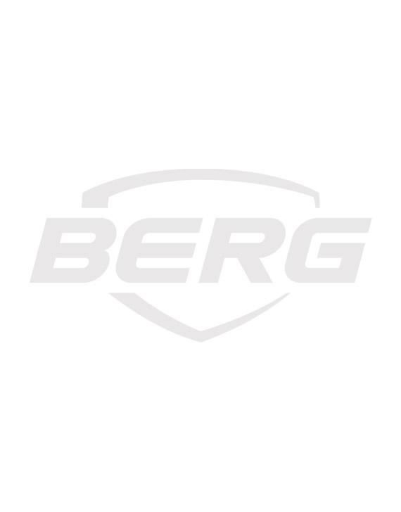 BERG Champion Regular 330 Green + Safety Net Deluxe